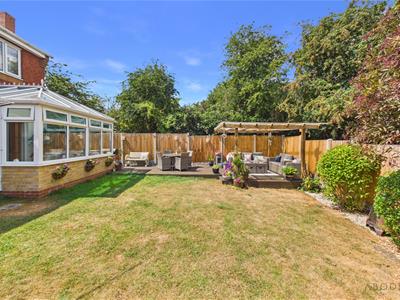 Picture 16